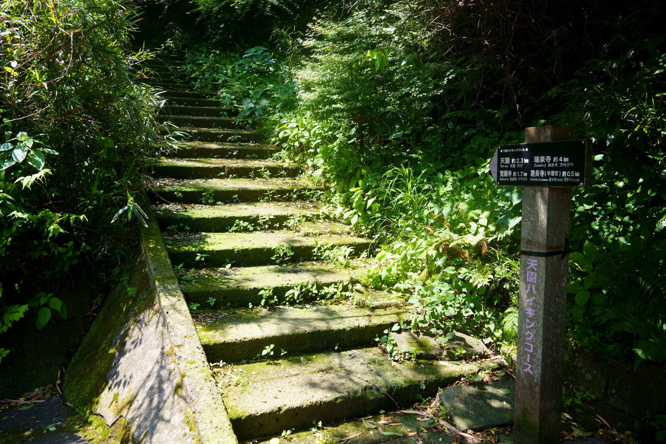 Entrance is at the end of the house.