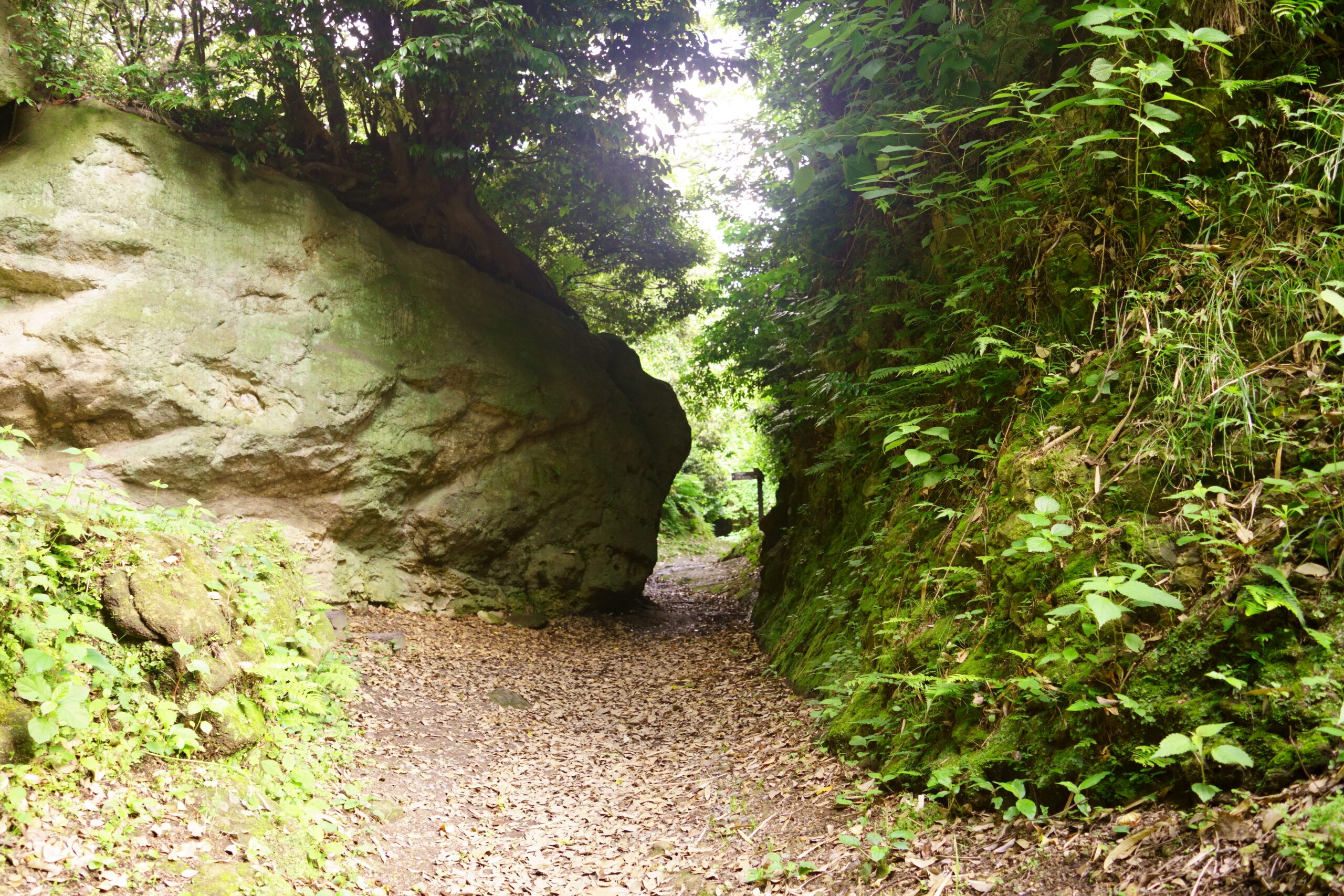 The Complete Guide to Hiking in Kamakura – 鎌倉ハイキングコースを