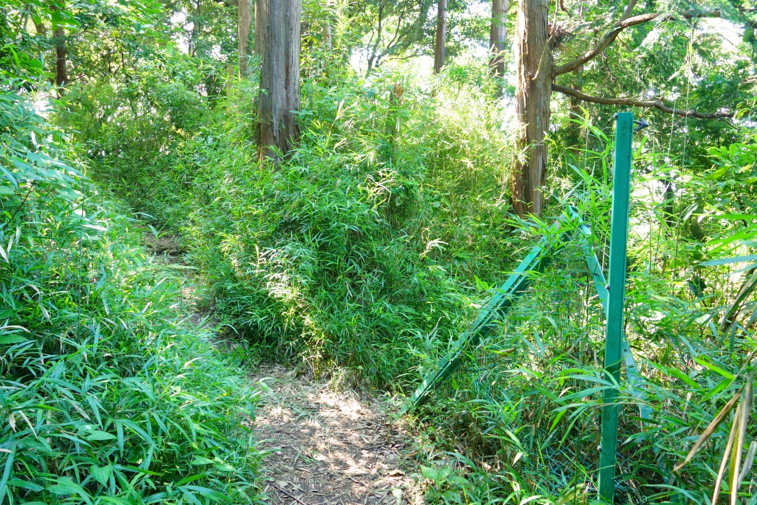 フェンスが切れたところもそのまま直進