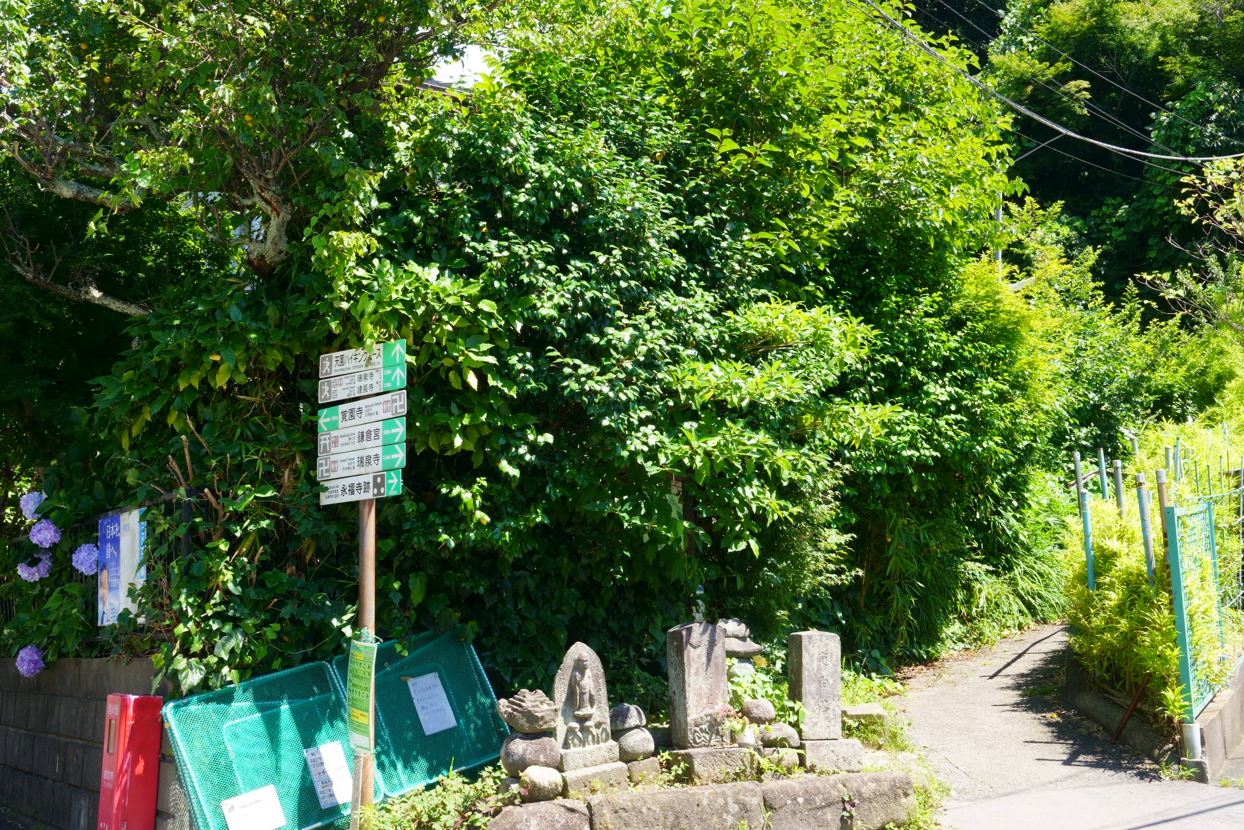 Turn right diagonally at the branch before Kakuenji Temple.